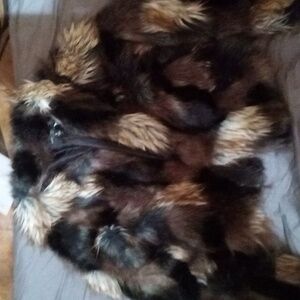 Wam faux fur jacket